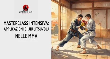 Masterclass MMA