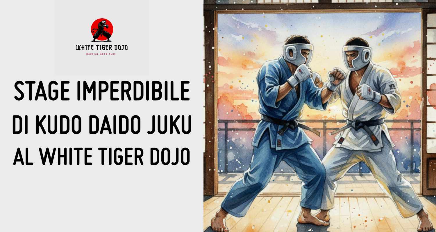 Kudo Vasto - MMA Vasto