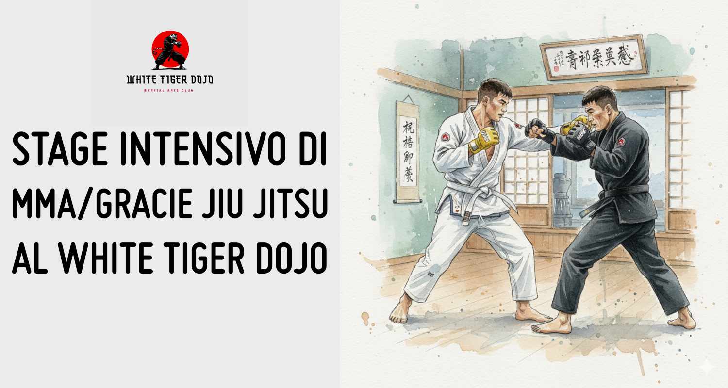 MMA - Brazilian Jiu Jitsu a Vasto